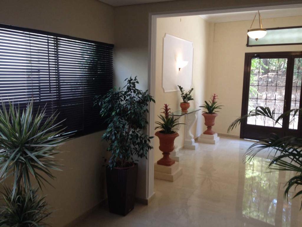 Spacious Apartment Near Acropolis With Roof Garden 雅典 外观 照片