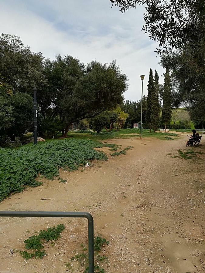 Spacious Apartment Near Acropolis With Roof Garden 雅典 外观 照片