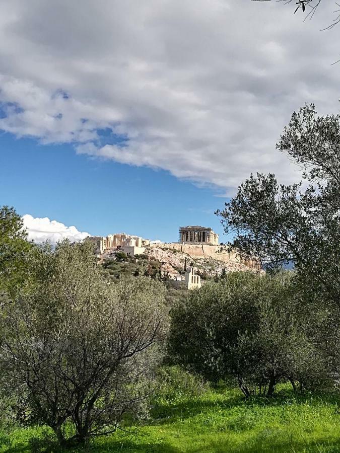 Spacious Apartment Near Acropolis With Roof Garden 雅典 外观 照片